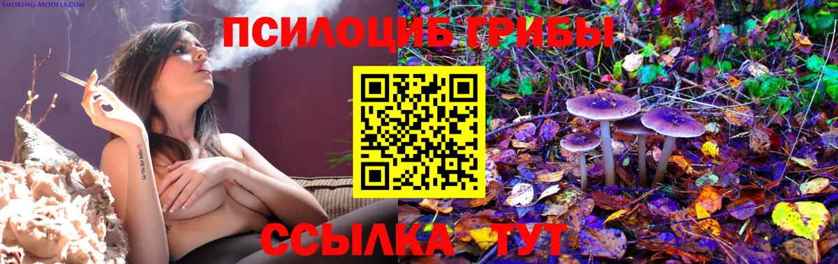 Сунжа  Псилоцибиновые грибы мицелий  Вход с VPN 
